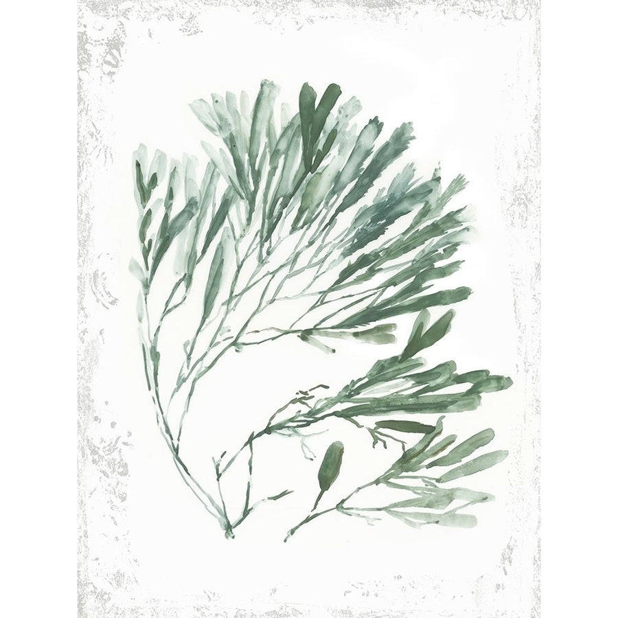 Emerald Coral II Poster Print by Aimee Wilson-VARPDXWL317A Image 1