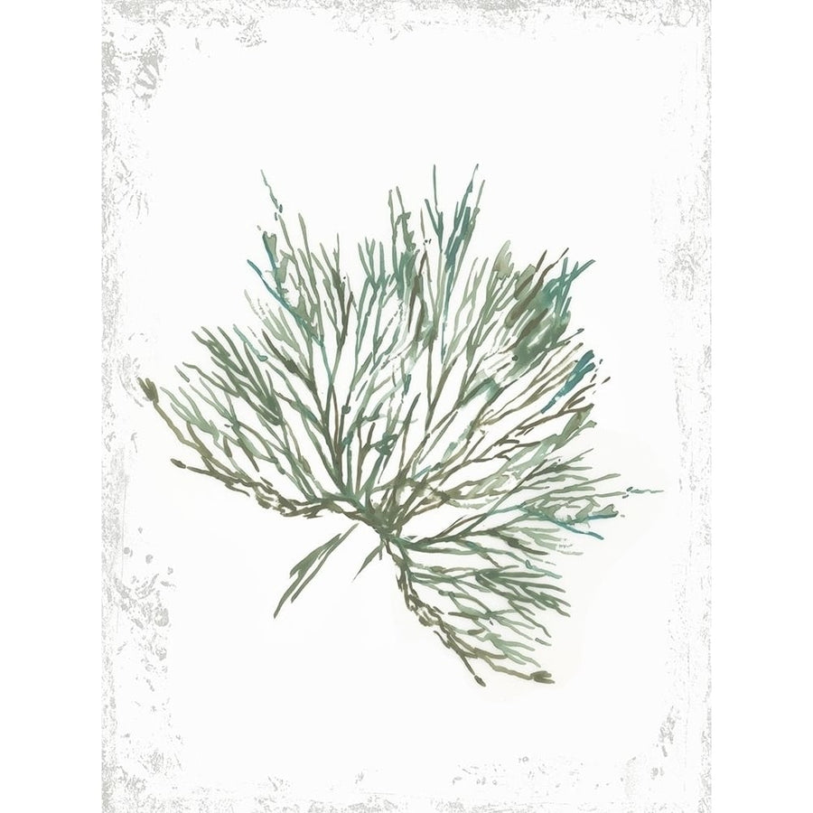 Emerald Coral III Poster Print by Aimee Wilson-VARPDXWL318A Image 1