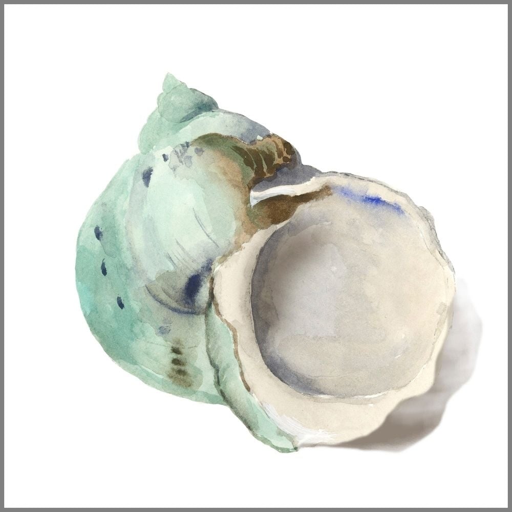 Pearl Shell Poster Print by Aimee Wilson-VARPDXWL413A Image 1