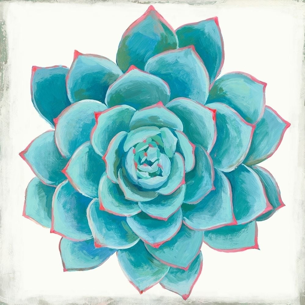 Pastel Succulent II Poster Print by Aimee Wilson-VARPDXWL219A Image 1