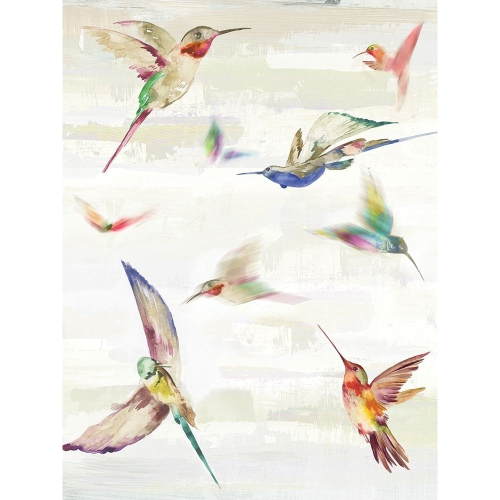 Humming II Poster Print by Aimee Wilson-VARPDXWL237A Image 1