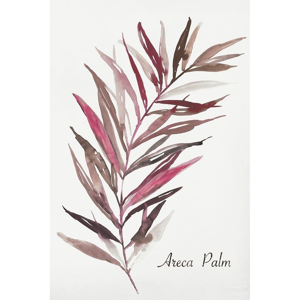 Areca Palm Poster Print by Aimee Wilson-VARPDXWL241A Image 1