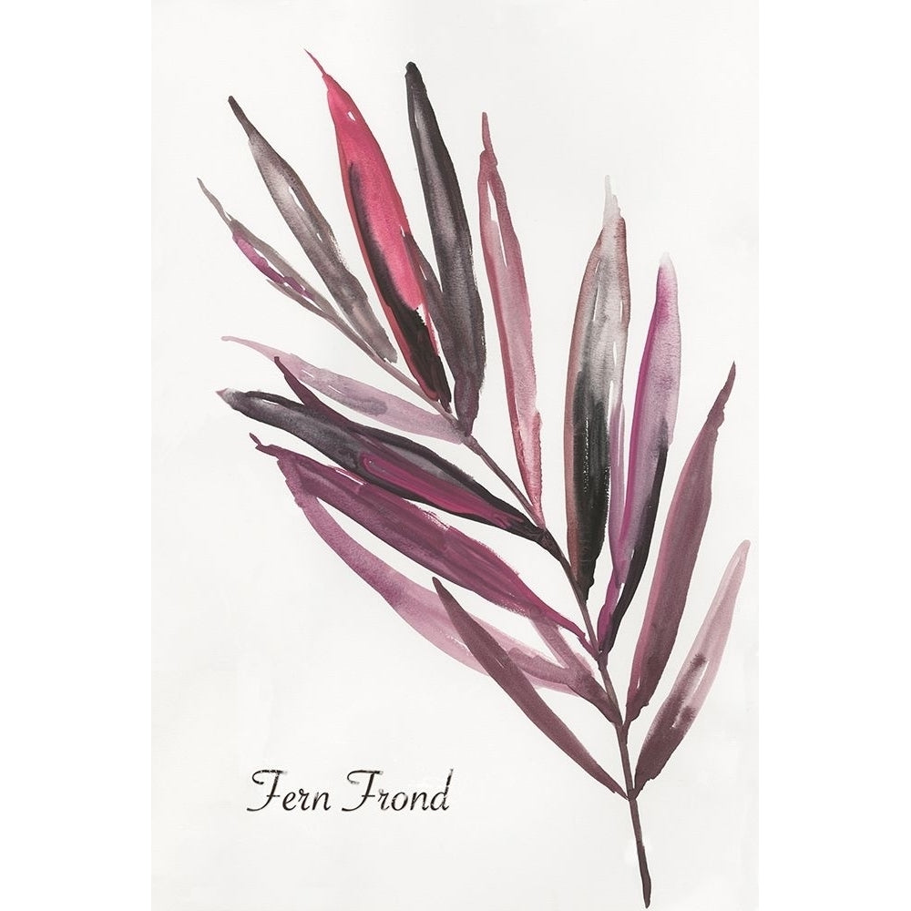 Fern Frond Poster Print by Aimee Wilson-VARPDXWL240A Image 1