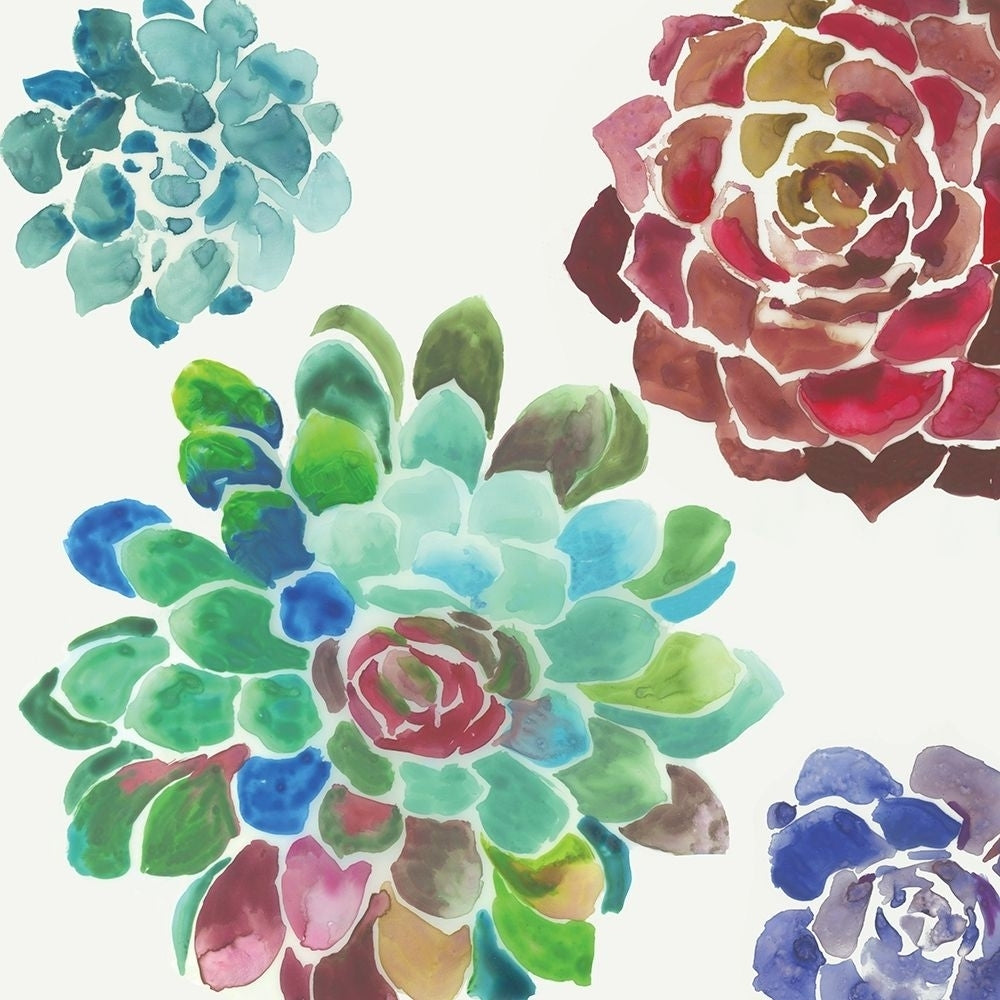 Water Succulents I Poster Print by Aimee Wilson-VARPDXWL246A Image 1