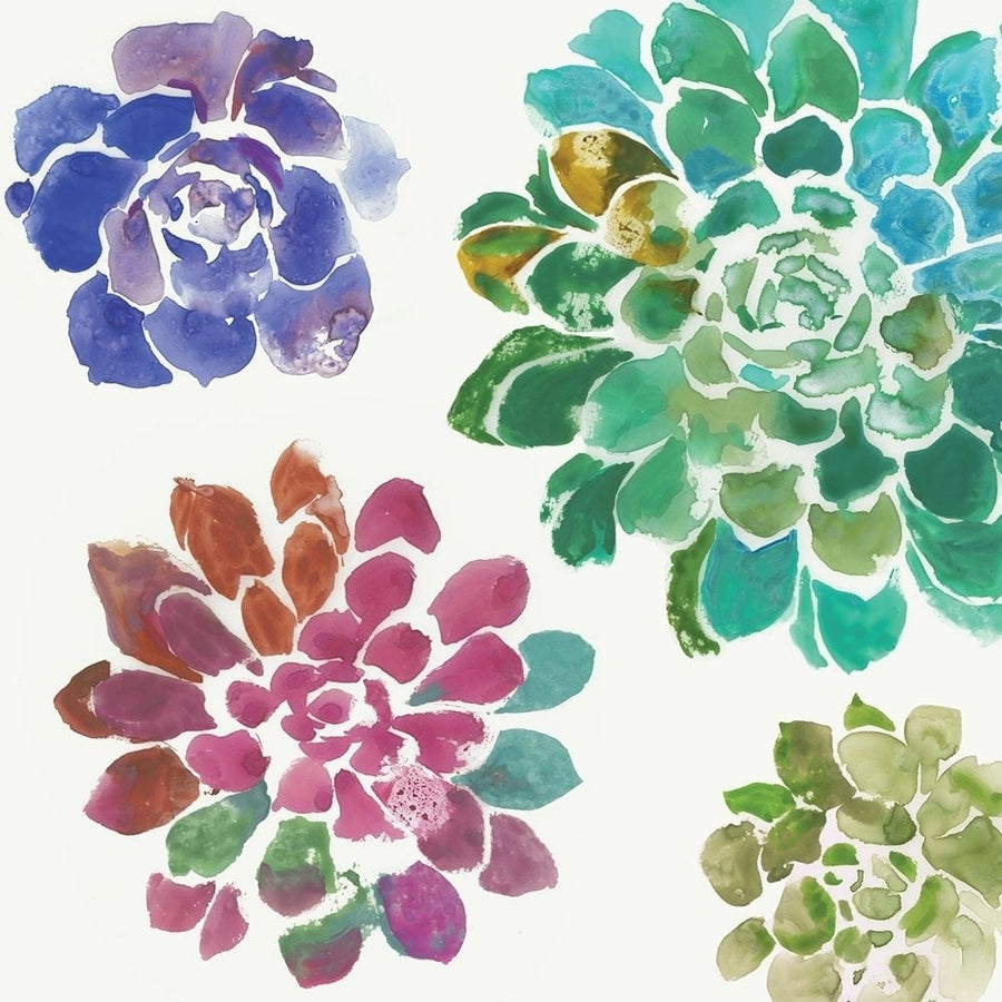 Water Succulents II Poster Print by Aimee Wilson-VARPDXWL247A Image 1