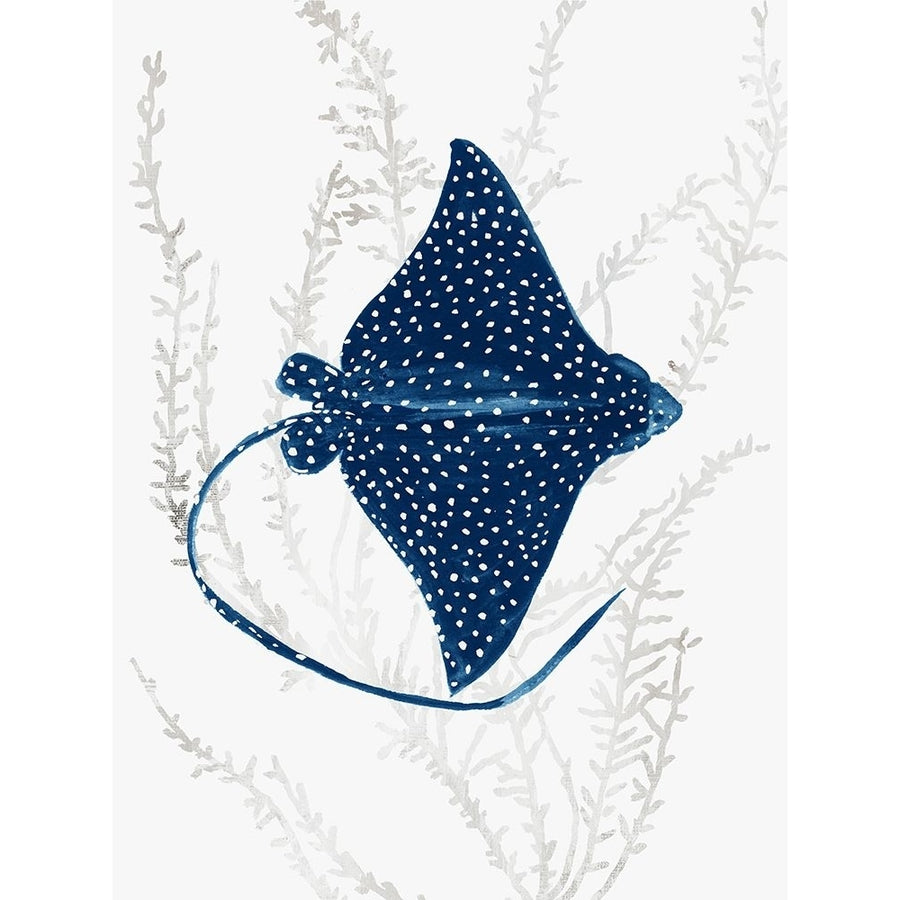 Blue Stingray I Poster Print - Aimee Wilson-VARPDXWL472A Image 1