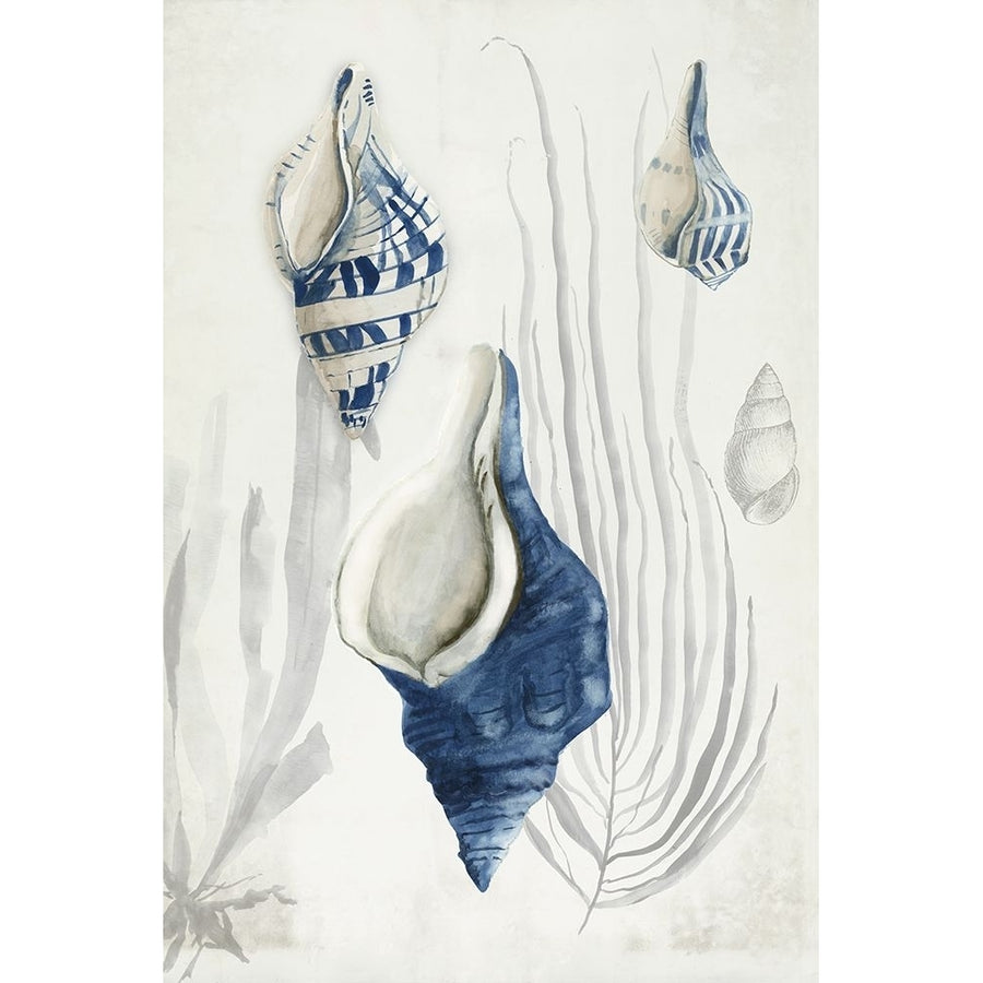 Antique Shells I Poster Print - Aimee Wilson-VARPDXWL470A Image 1