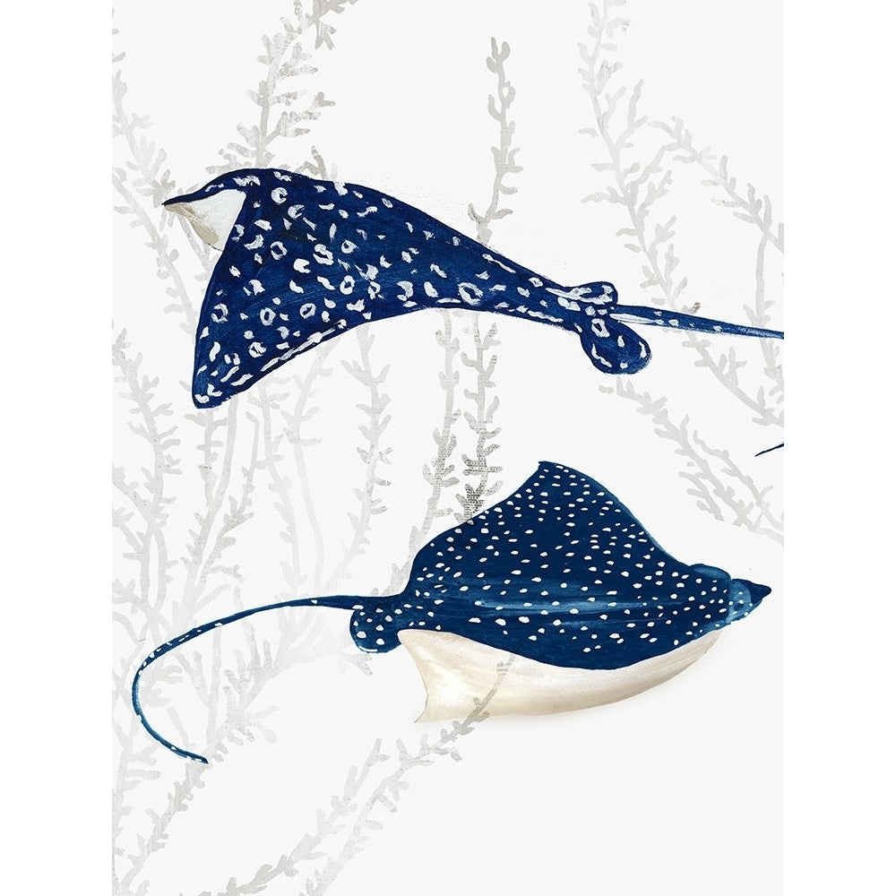 Blue Stingray III Poster Print - Aimee Wilson-VARPDXWL474A Image 1