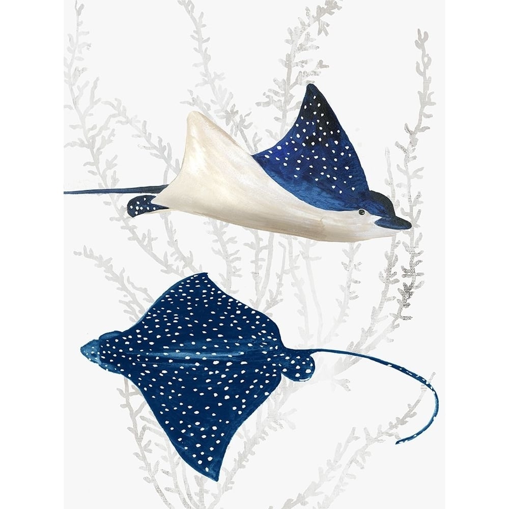 Blue Stingray II Poster Print - Aimee Wilson-VARPDXWL473A Image 1