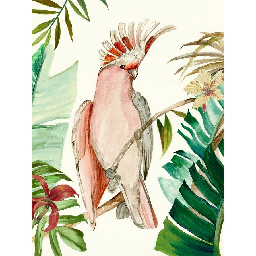 Tropical Bird I Poster Print - Aimee Wilson-VARPDXWL489A Image 1