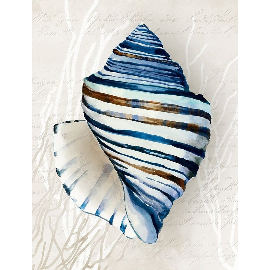 Blue Shell Series III Poster Print - Aimee Wilson-VARPDXWL488A Image 1