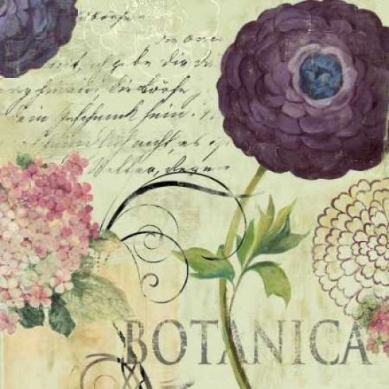 Botanica Poster Print by Aimee Wilson-VARPDXWLS31 Image 1