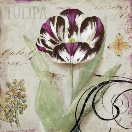 Tulipa II Poster Print by Aimee Wilson-VARPDXWLS35 Image 2