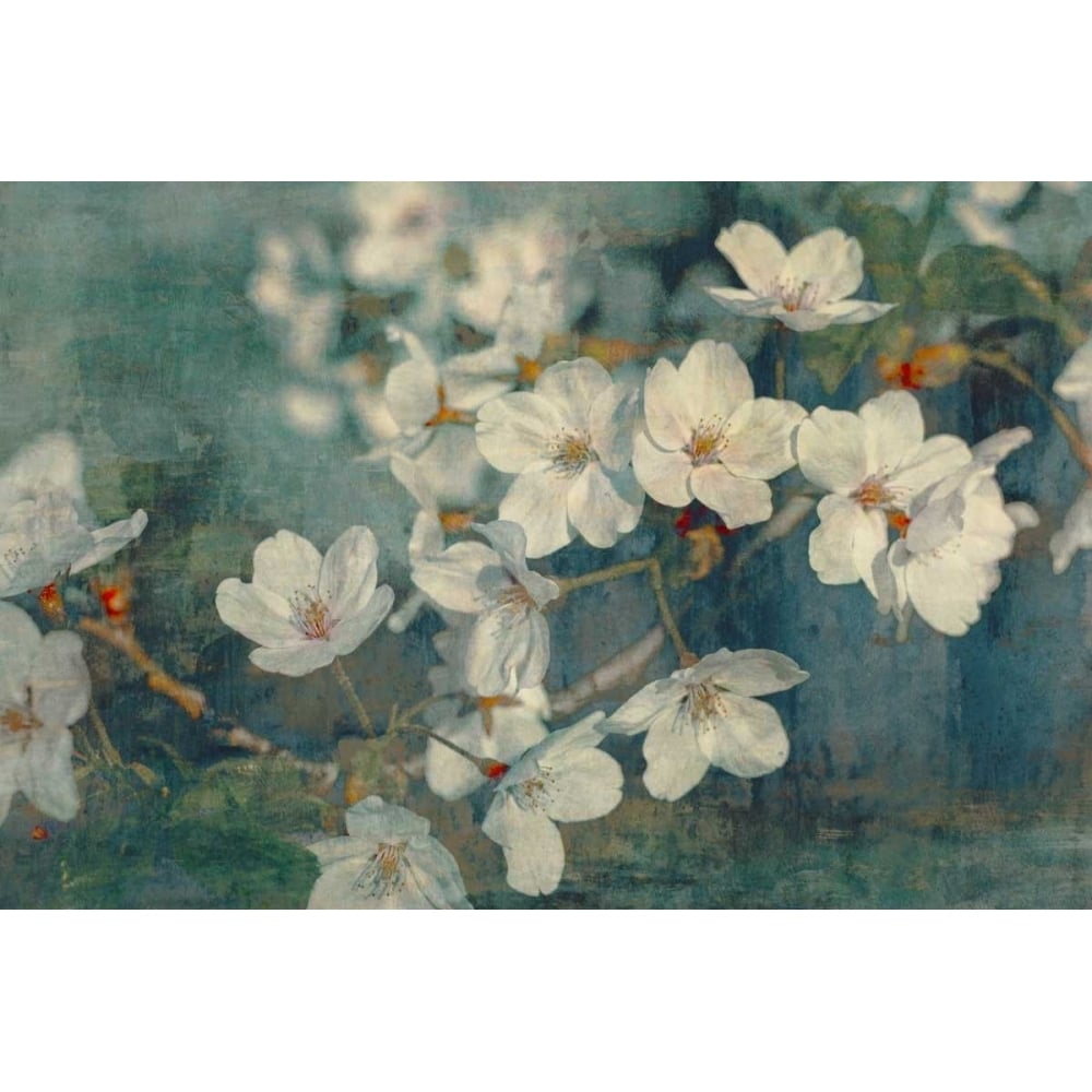 Sweet Spring I Poster Print by William Cooke-VARPDXWM096A Image 1