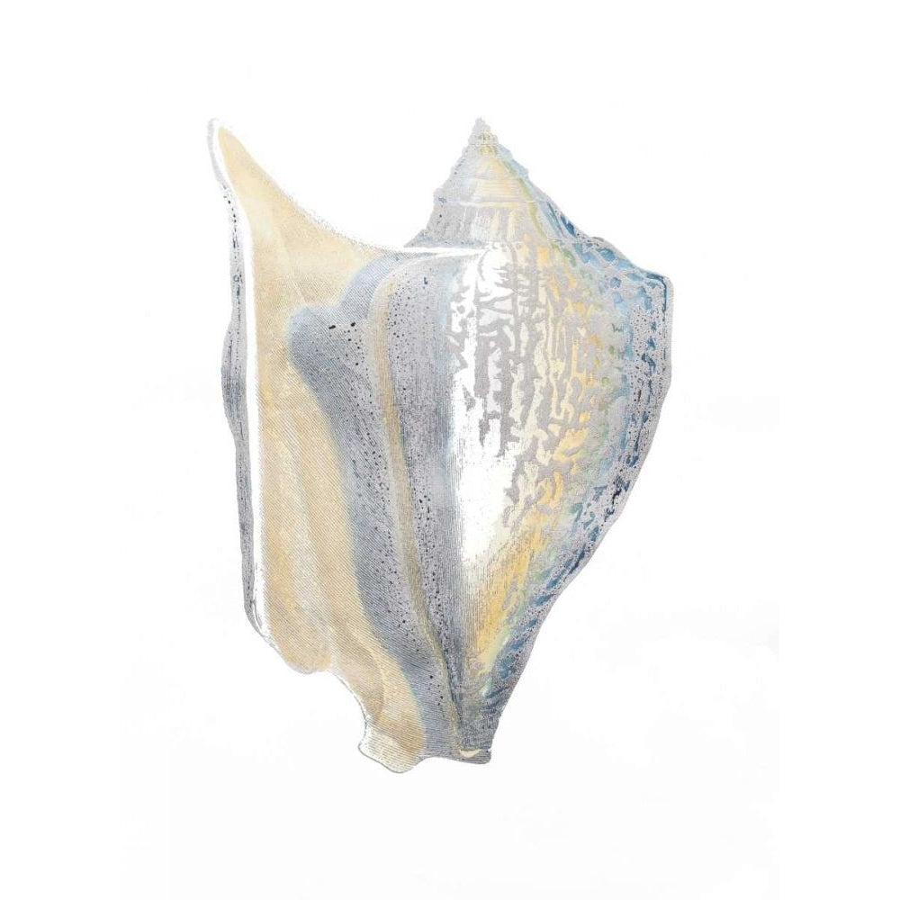 Silver Foil Shell III with Hand Color Poster Print - Studio Vision-VARPDXWPEC094B Image 1