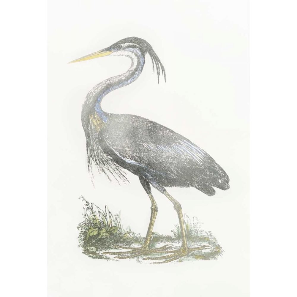 Silver Foil Heron II with Hand Color Poster Print - John Selby-VARPDXWPEC133B Image 1