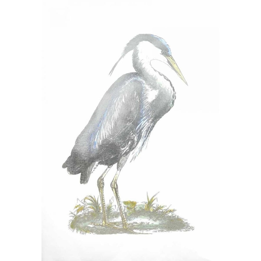 Silver Foil Heron I with Hand Color Poster Print - John Selby-VARPDXWPEC132B Image 1