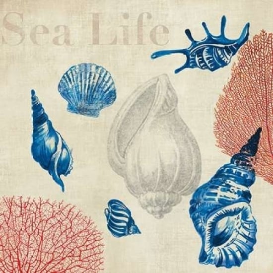 Sea Life Study Poster Print by Aimee Wilson-VARPDXWSN50M Image 2