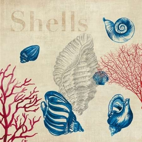 Shell Study Poster Print by Aimee Wilson-VARPDXWSN51M Image 2