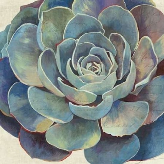 Succulence I - Mini Poster Print by Aimee Wilson-VARPDXWSN89M Image 1