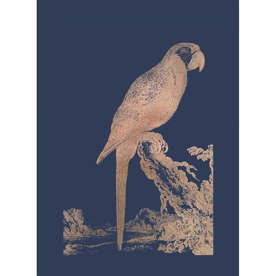 Rose Gold Foil Parrot I on Imperial Blue Poster Print - Edwards-VARPDXWZF381C Image 1