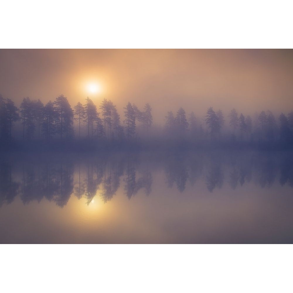 Misty trees Poster Print by 1x 1x-VARPDXXI248A Image 1