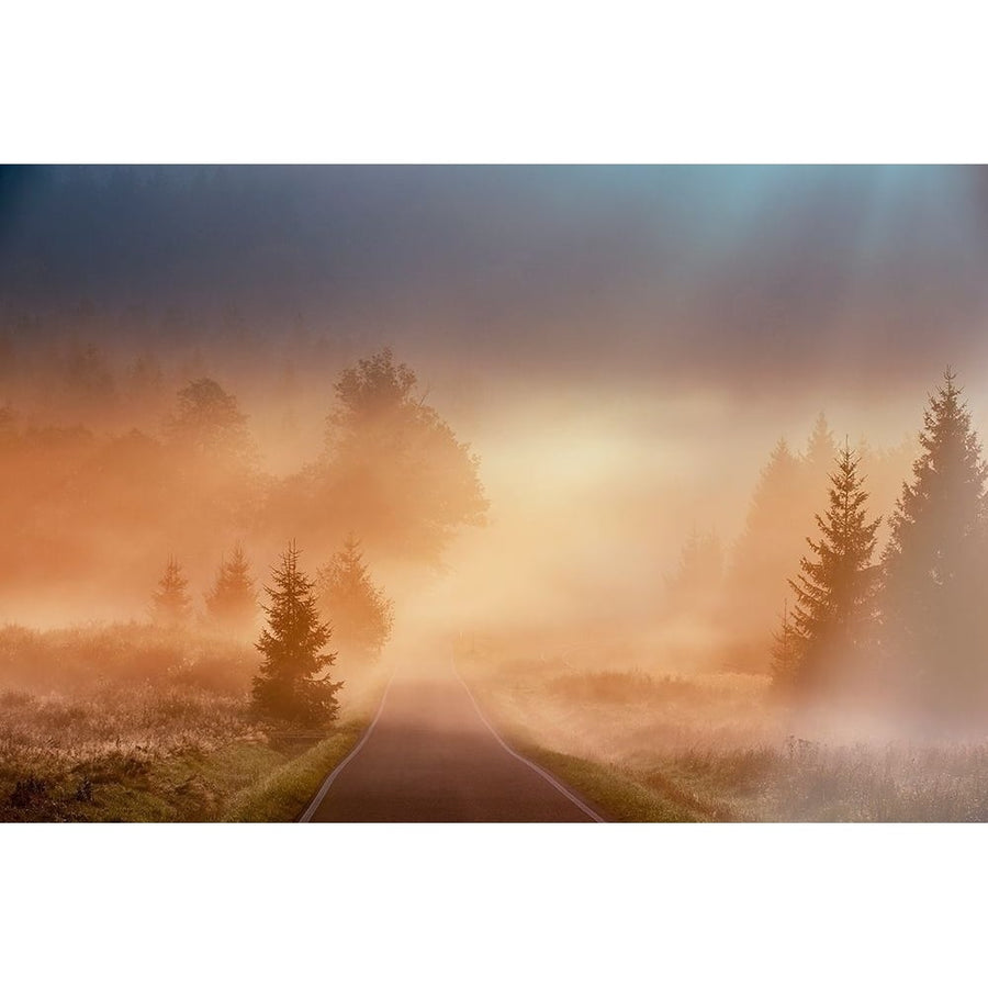 Motl - Magical morning Poster Print by 1x-VARPDXXI247A Image 1