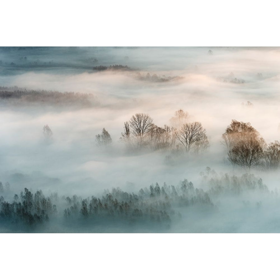 Winter Fog by Galimberti-VARPDXXI490A Image 1