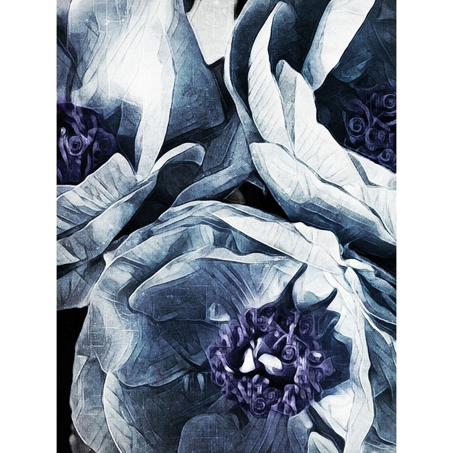 Peony Blue Petals I by Ashley Aldridge-VARPDXYB001A Image 1