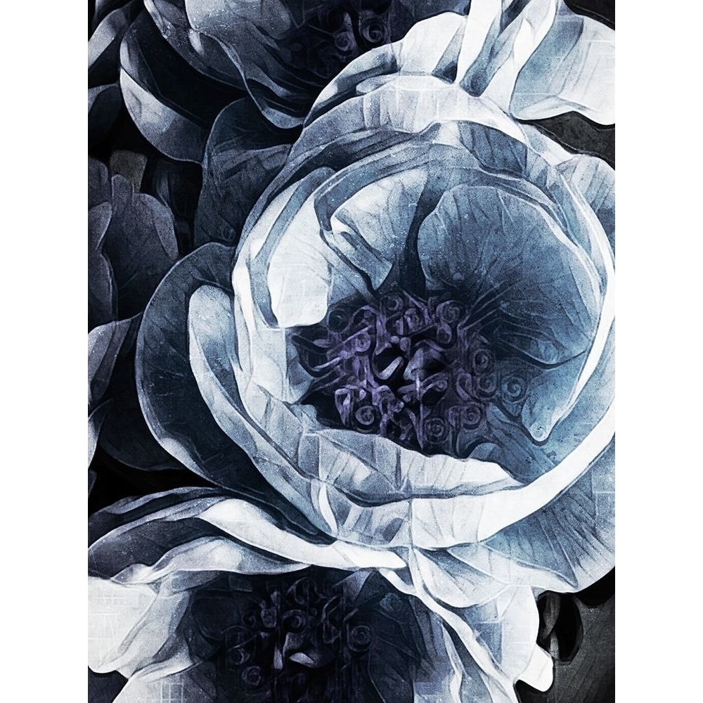 Peony Blue Petals III by Ashley Aldridge-VARPDXYB003A Image 1