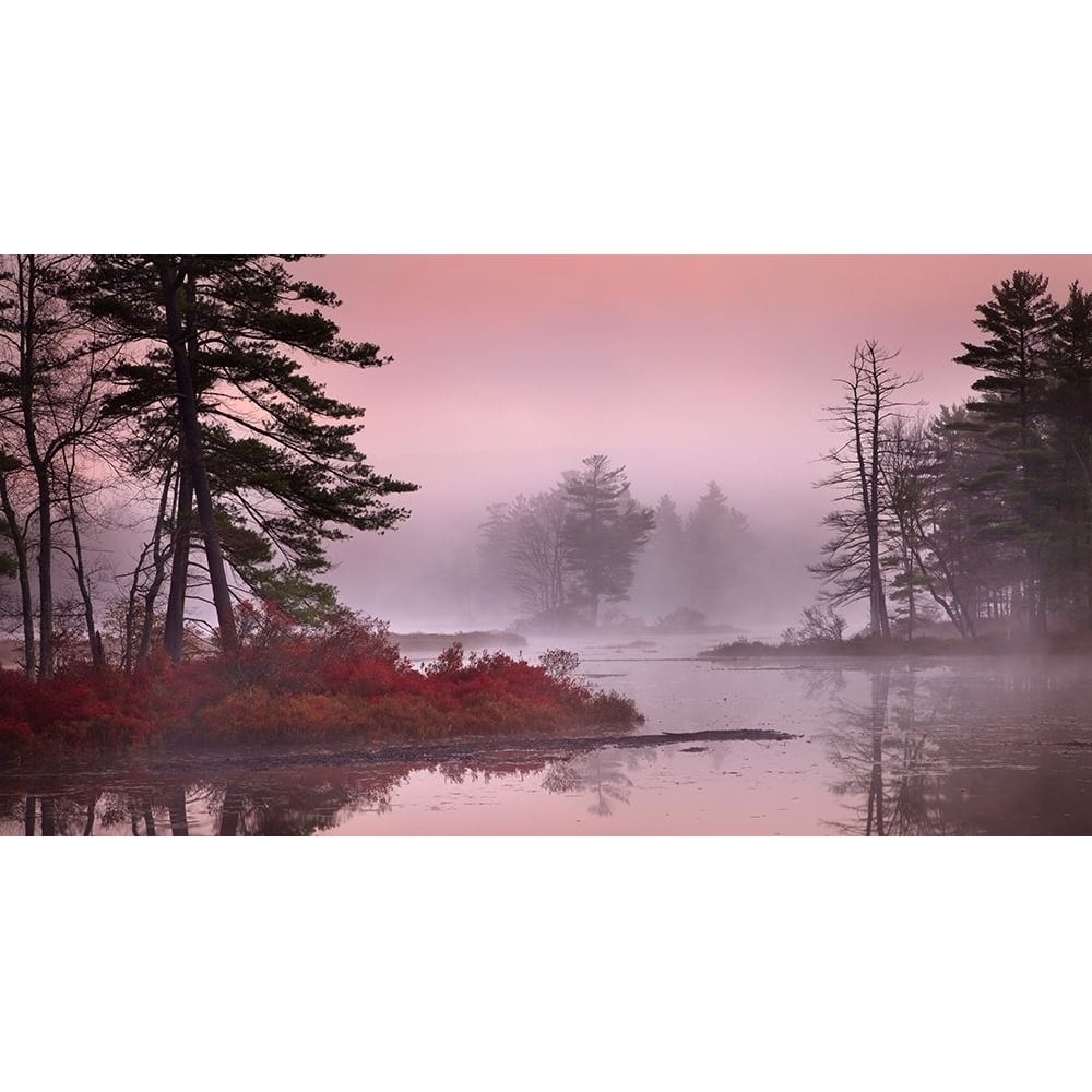 Pink Fog by Patrick Zephyr-VARPDXZ1575D Image 1