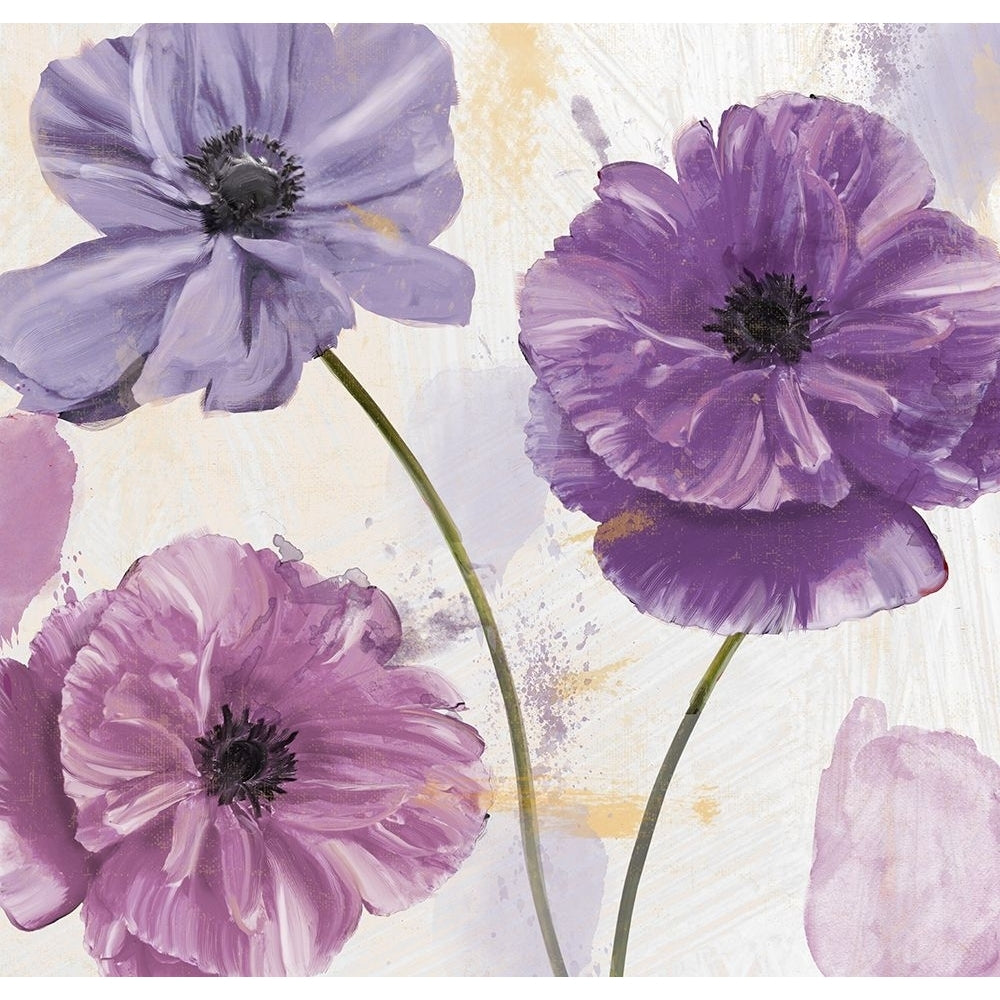 Plum Poppies I Poster Print - Mindy Sommers-VARPDXYM1243 Image 1