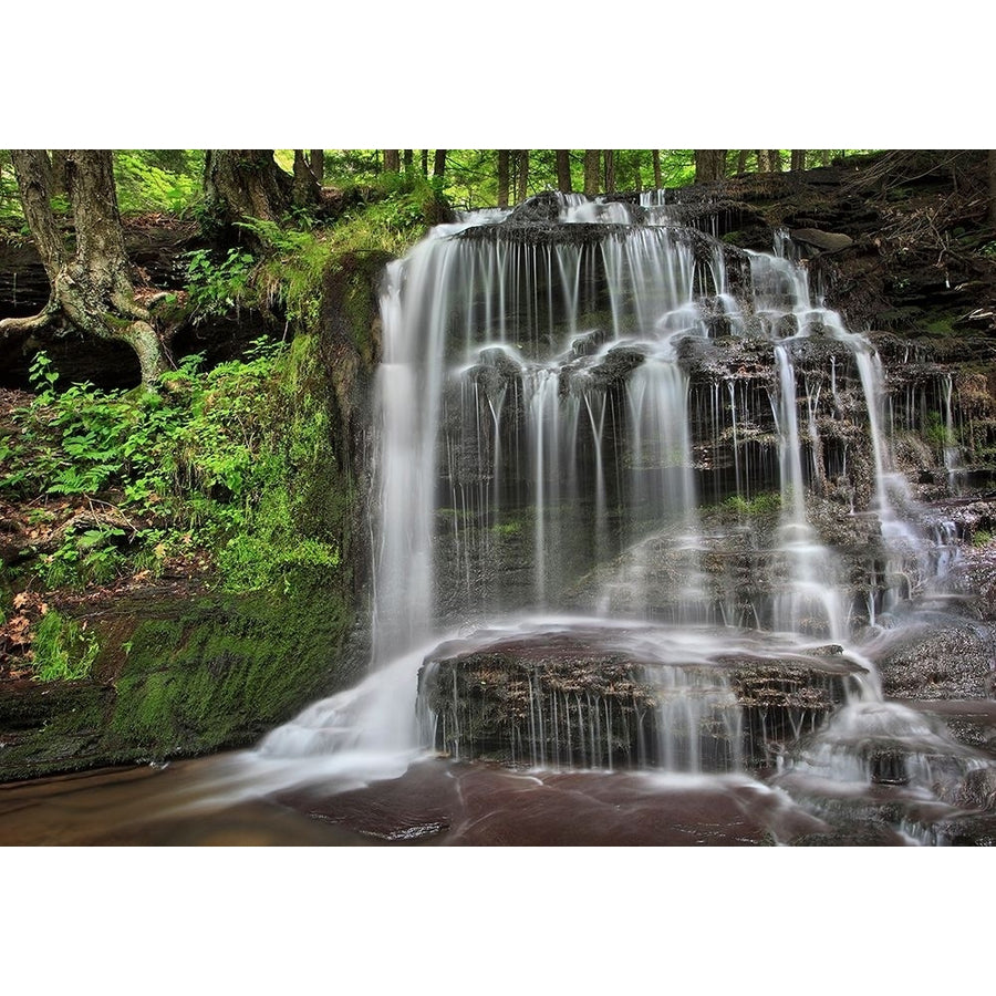 Gunn Brooks Falls Poster Print - Patrick Zephyr-VARPDXZ1614D Image 1