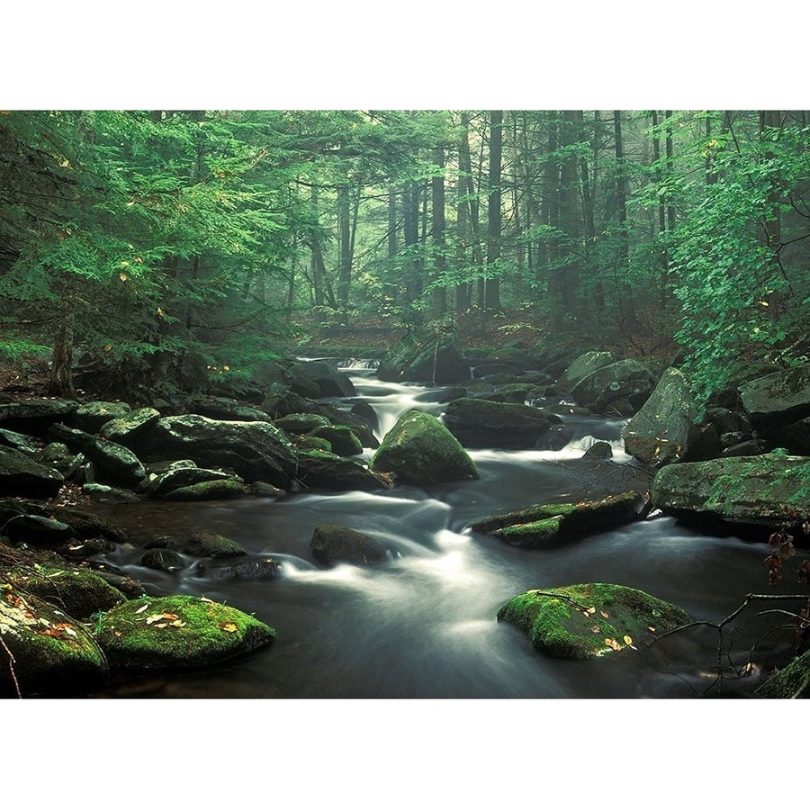 Sawmill River Poster Print - Patrick Zephyr-VARPDXZ1619D Image 1