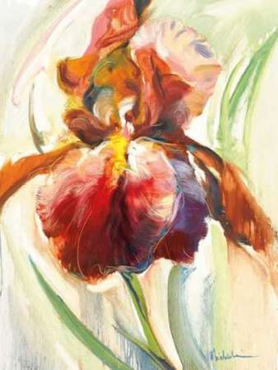 Colors of Iris II Poster Print by Maria Zielinska-VARPDXZMP103 Image 1