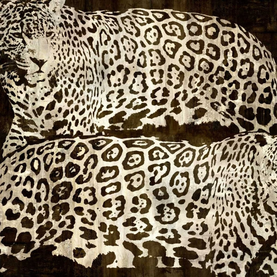 Leopards Poster Print by Darren Davison-VARPDXDDS111229DG Image 1