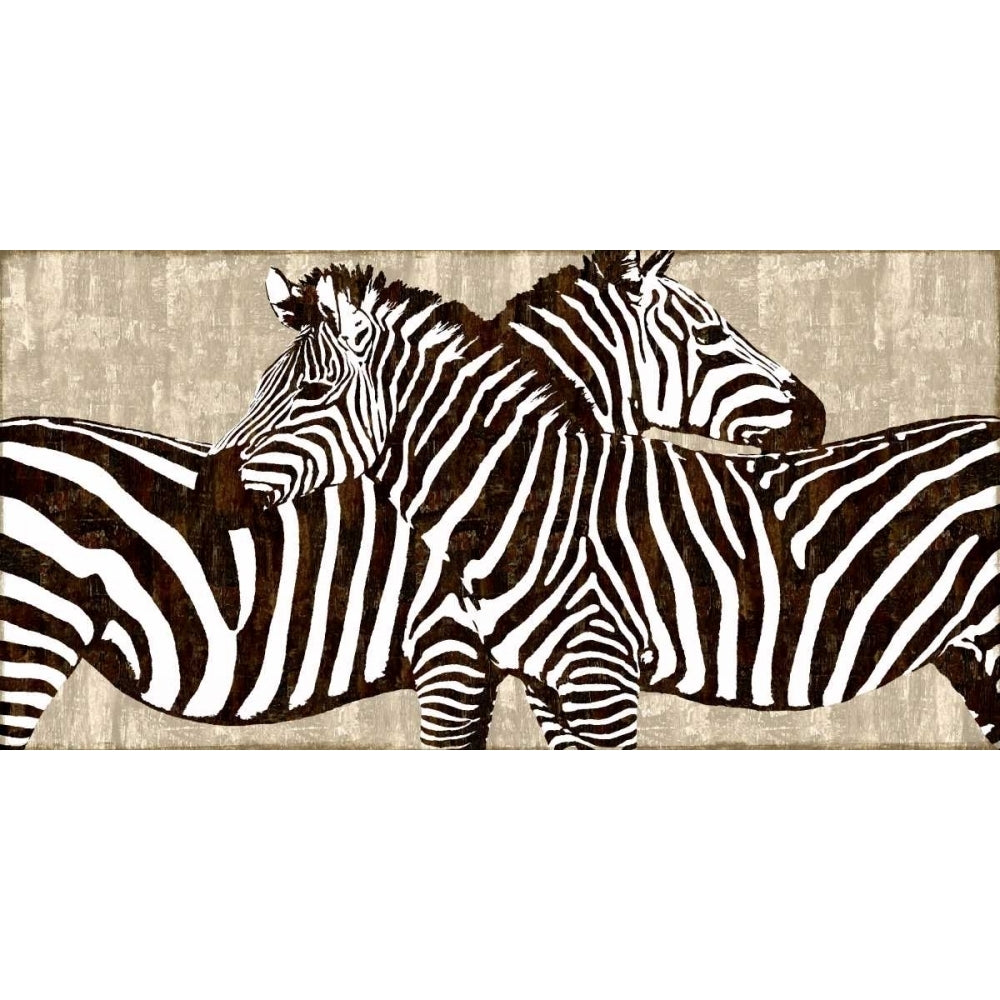 Zebra Gathering Poster Print by Darren Davison-VARPDXDDS111230DG Image 1