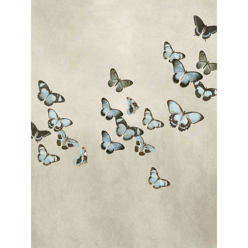 Spring Flight II Poster Print by Deborah Devellier-VARPDXDDV111519DG Image 1