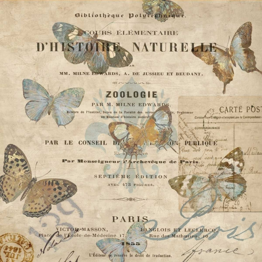 Papillon II Poster Print by Deborah Devellier-VARPDXDDV6988 Image 1