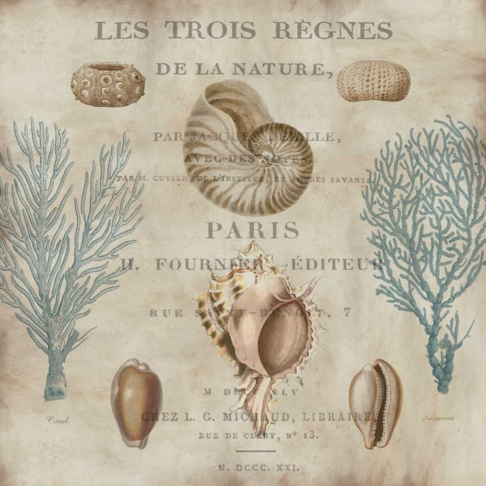 Le Mer II Poster Print by Deborah Devellier-VARPDXDDV7065DG Image 1