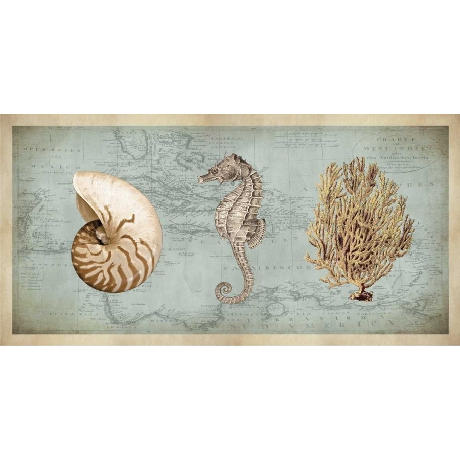 Sea Treasures I Poster Print by Deborah Devellier-VARPDXDDV7414 Image 1