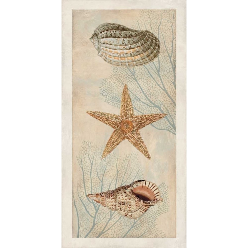 Ocean Companions I by Deborah Devellier-VARPDXDDV7412 Image 1