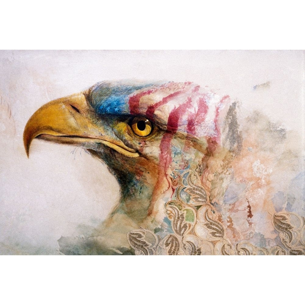 American Eagle Poster Print - Denton Lund-VARPDXDENLUN16461 Image 1