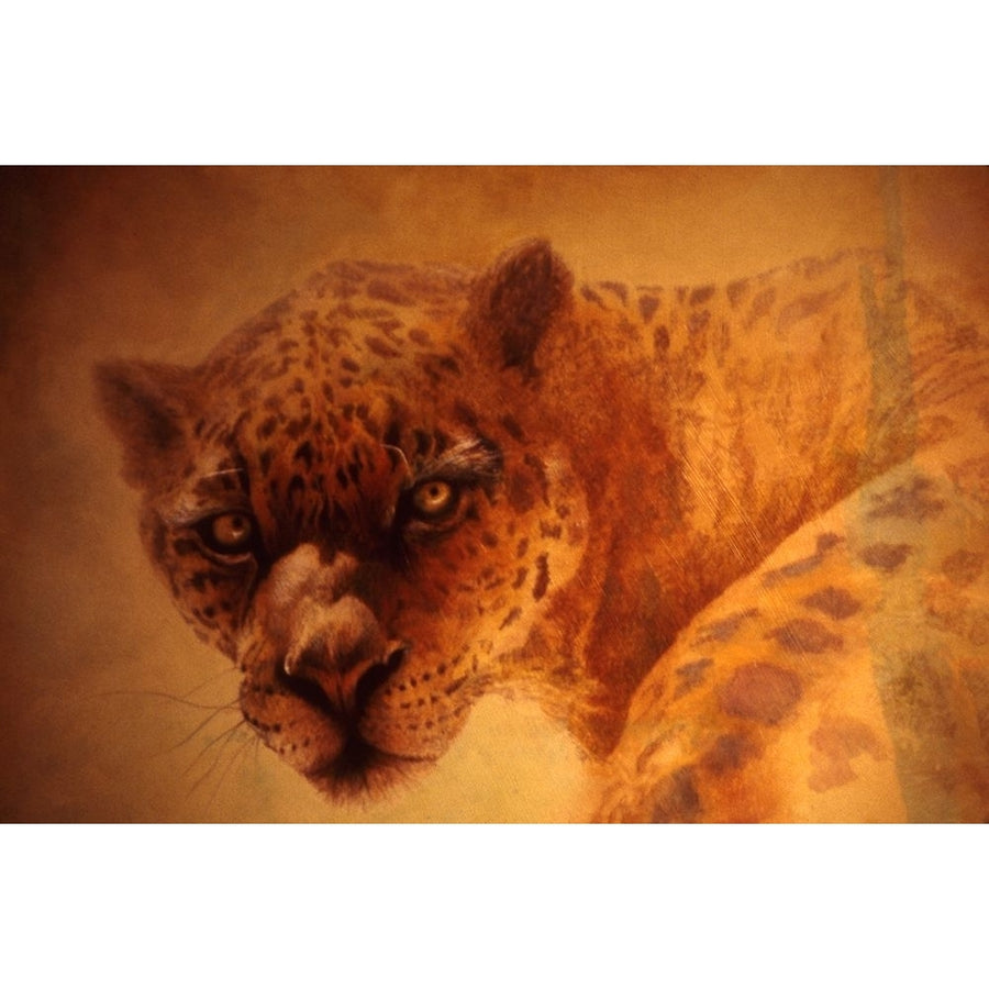 The Leopard Poster Print - Denton Lund-VARPDXDENLUN64546 Image 1