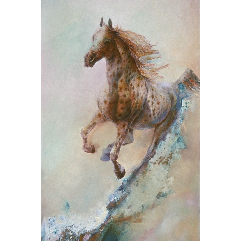 Appaloosa Run Poster Print - Denton Lund-VARPDXDENLUN88629 Image 1