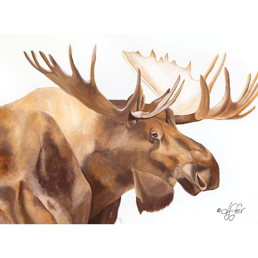 Moose Be Single Poster Print by Diane Fifer-VARPDXDF116 Image 1