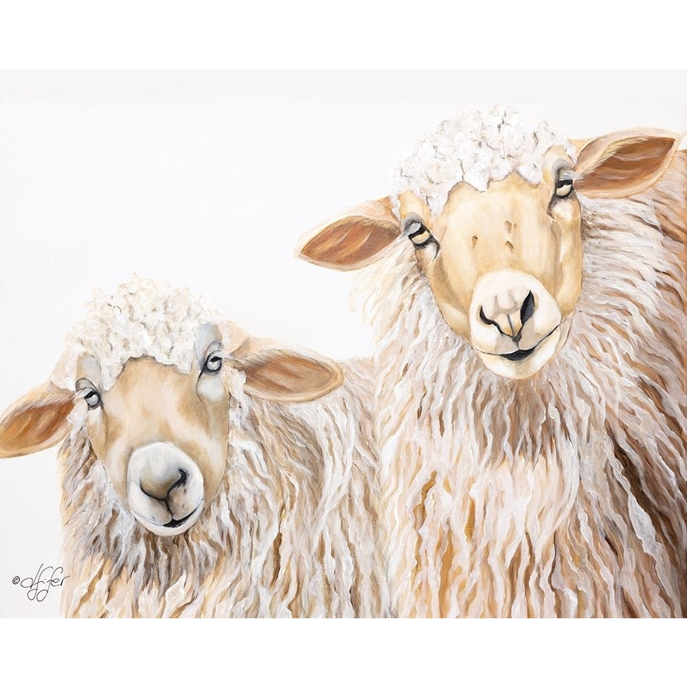 Ba Ba White Sheep Poster Print by Diane Fifer-VARPDXDF110 Image 1