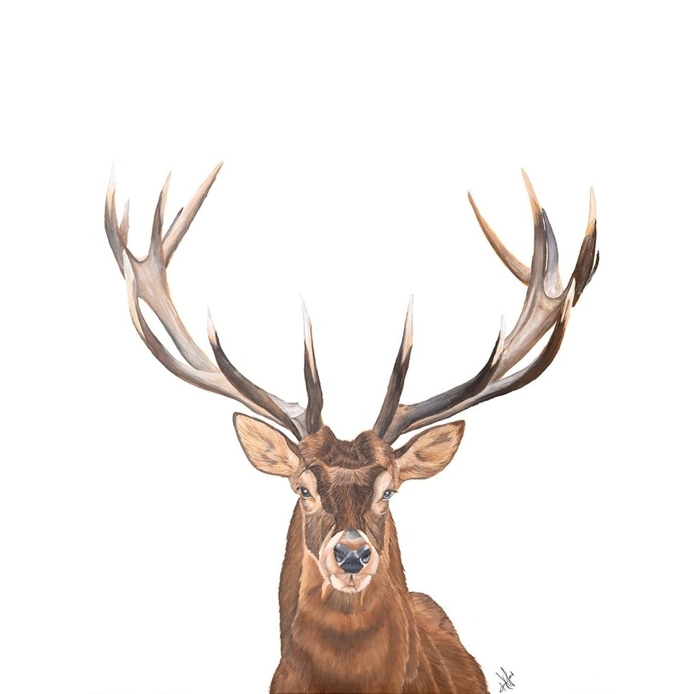 Oh Deer Poster Print - Diane Fifer-VARPDXDF184 Image 1