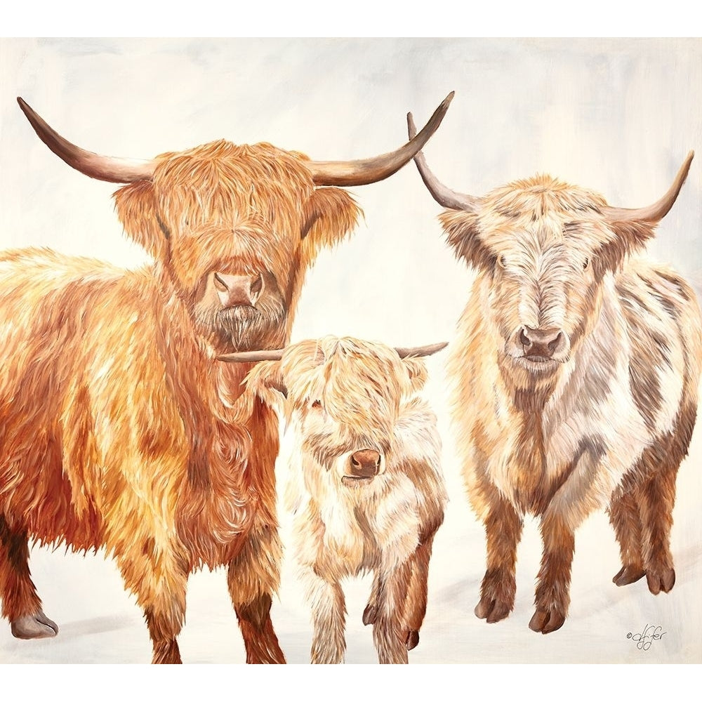 Hairy Highland Cattle Poster Print by Diane Fifer-VARPDXDF143 Image 1