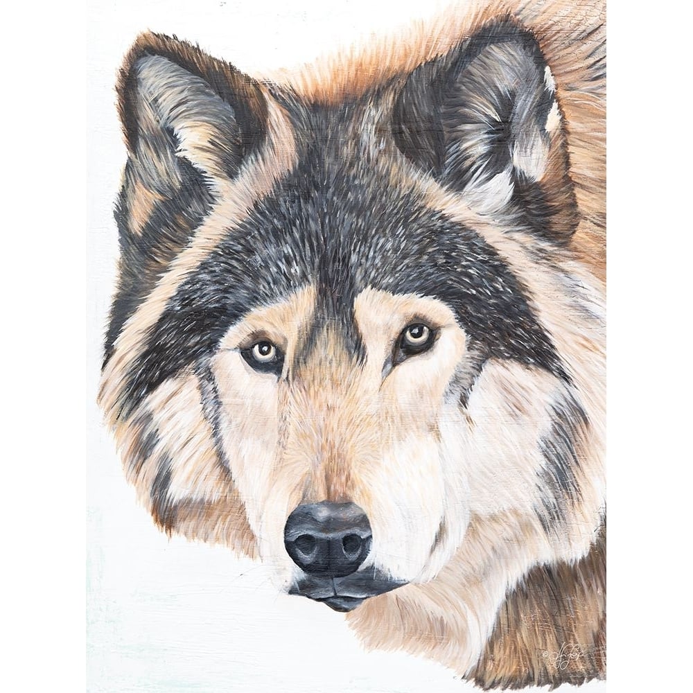 Wolf Portrait Poster Print - Diane Fifer-VARPDXDF187 Image 1